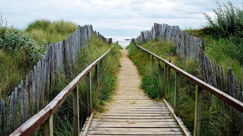 West sands st andrews beach fife getaways rennie property services