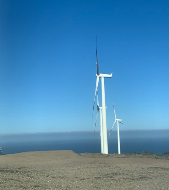 Siemens_2.3_101_Latam.png