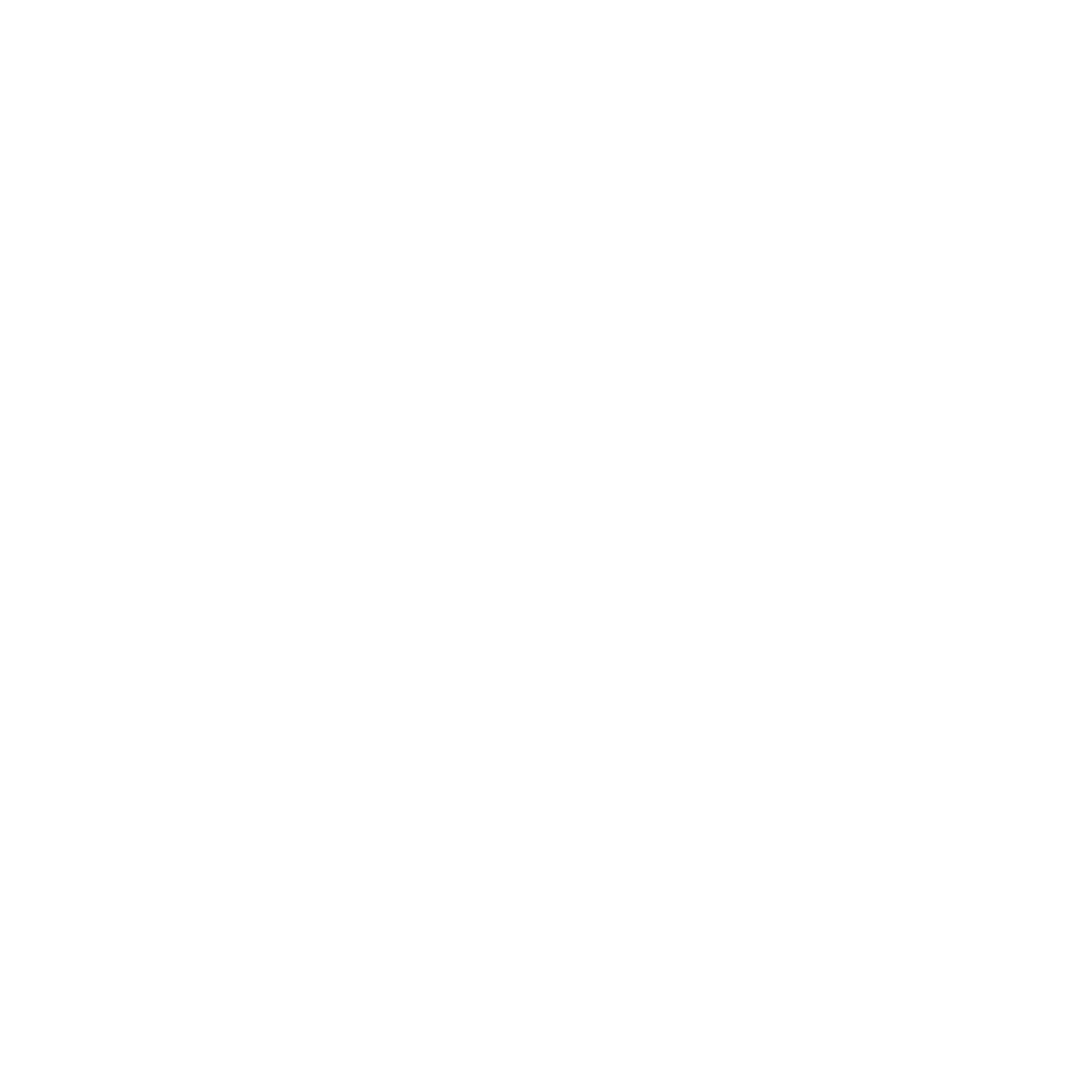 RB icon support e newsletter white