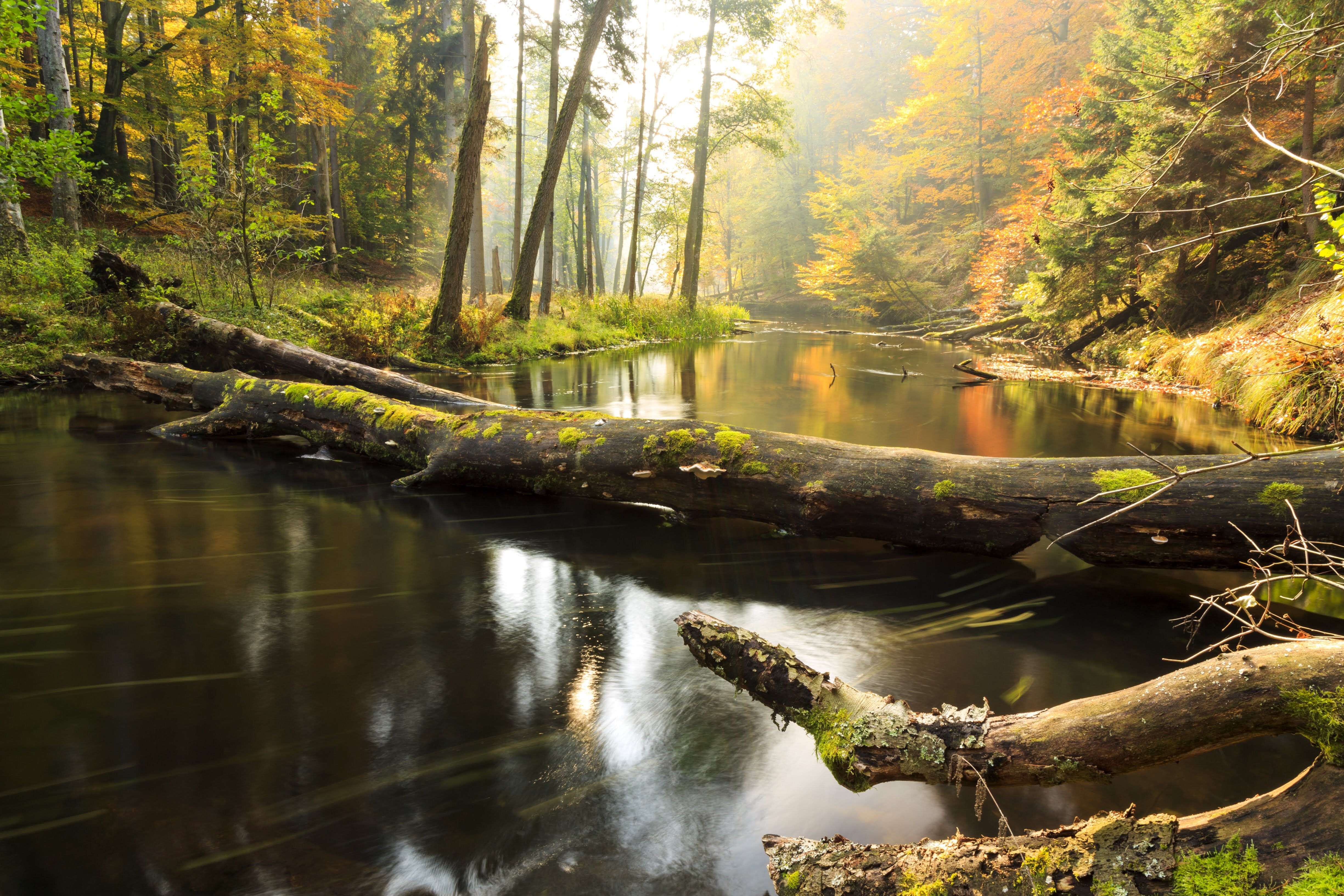 Shutterstock 230655421