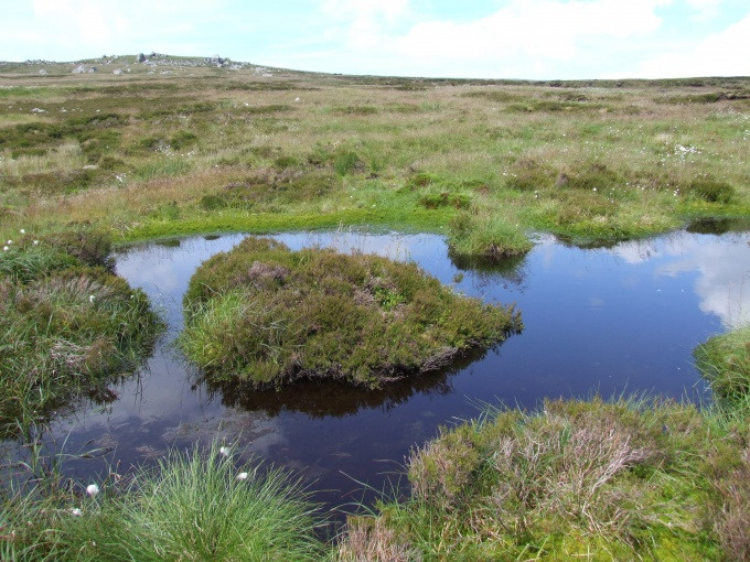 Restored upland bog Forest Bowland cf8298bb115a4aa4828f3ab83c4578aa
