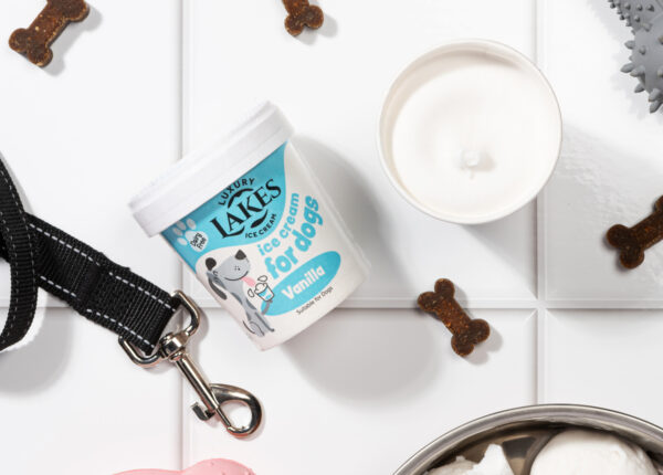 Dog Ice Cream