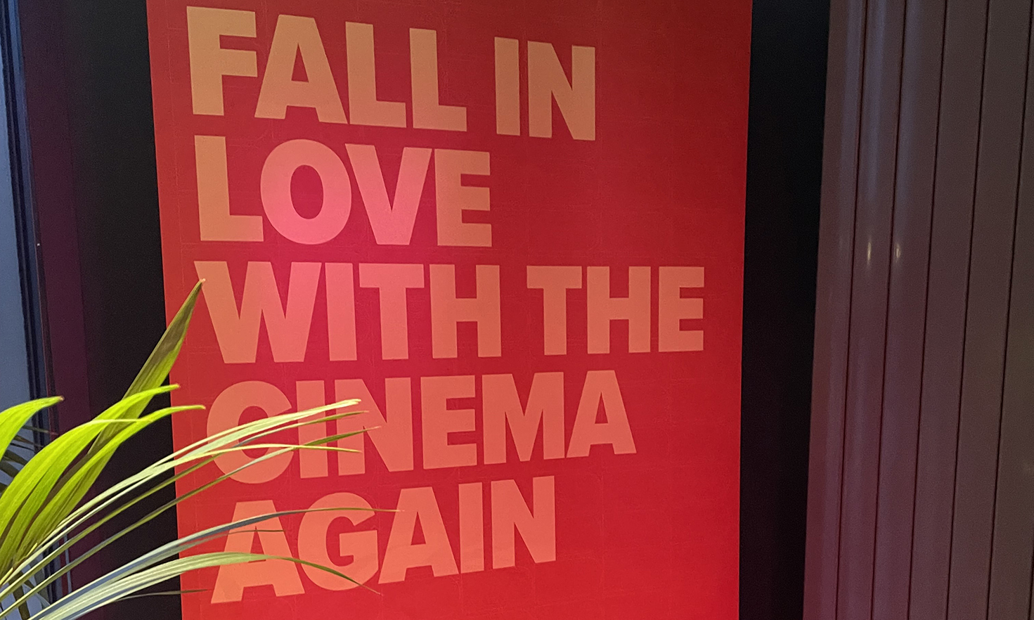 Fall in Love with the Cinema Again — The Belmont Cinema