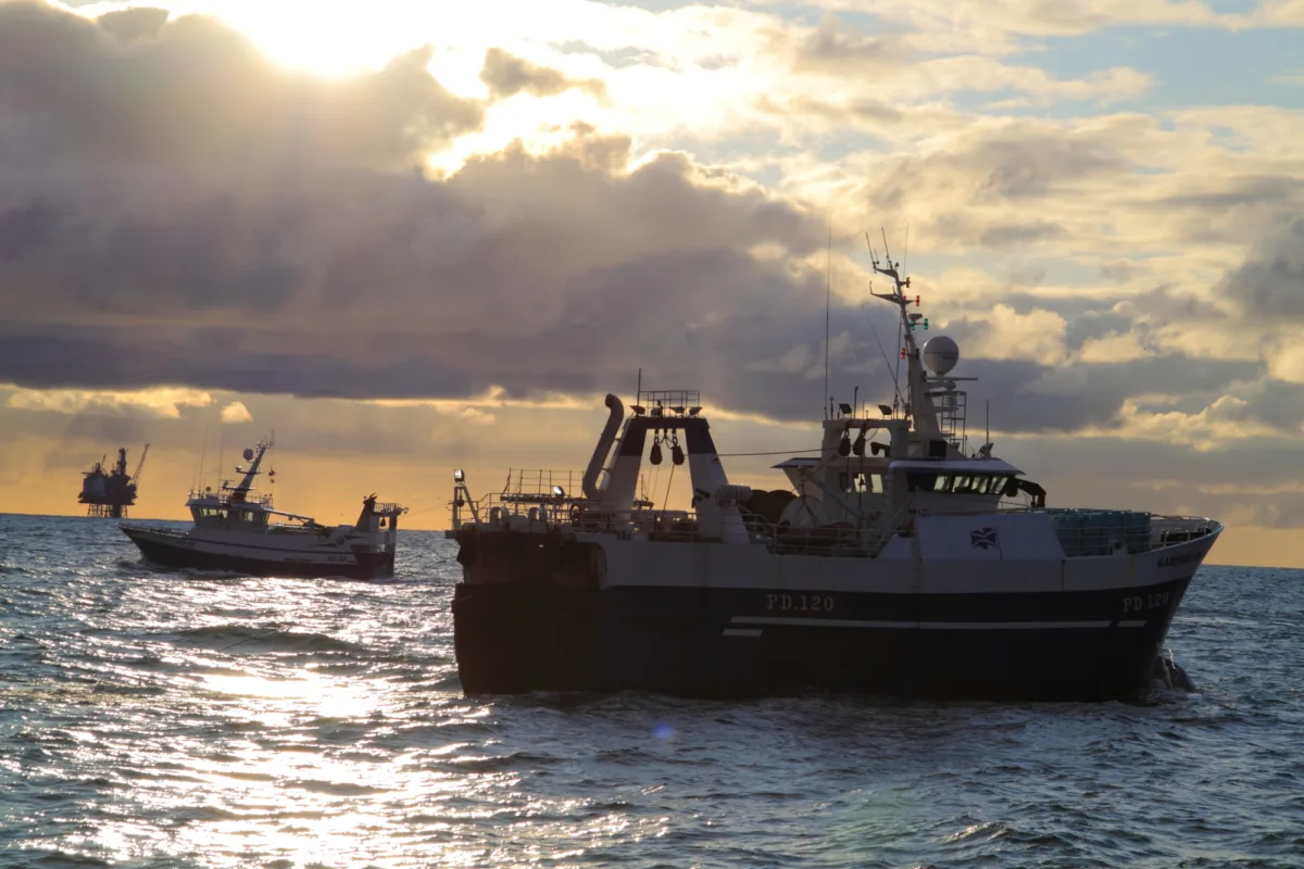 Oil and Gas Fishing 2 SFFSL