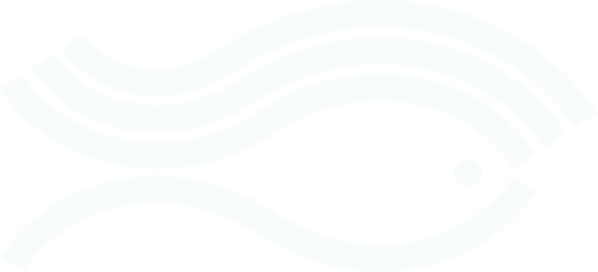 Sff services wave bg