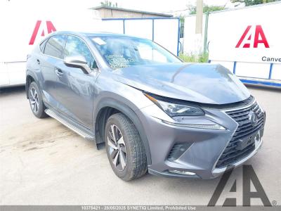 2019 LEXUS NX 300H TAKUMI