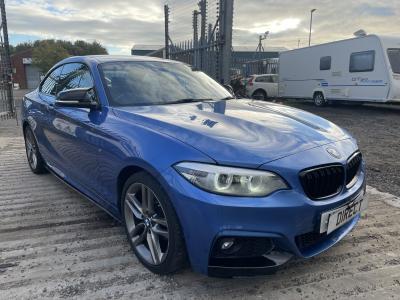Image of 2018 Bmw 2 Series 218i M Sport 1499cc Turbo Petrol Manual 6 Speed 6 Coupe