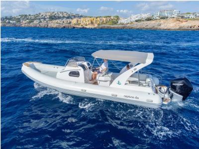 Image of 2022 Neptune 830 Cabin Rib Power Boat