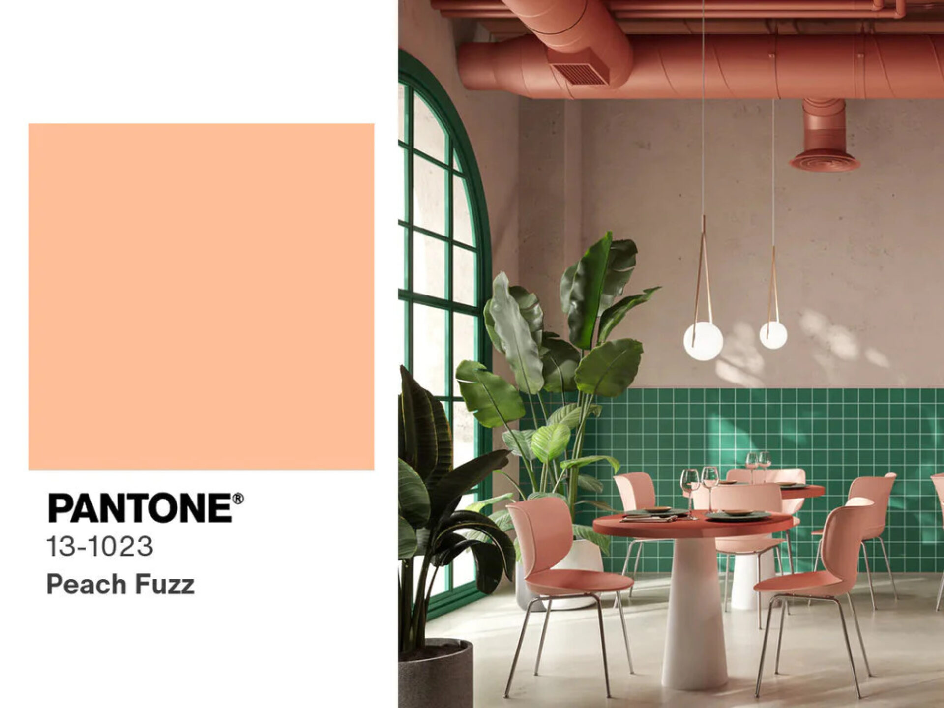 Pantone-Peach-Fuzz.jpg