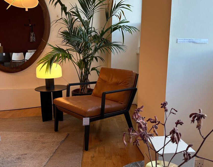 Walter knoll andoo lounge chair