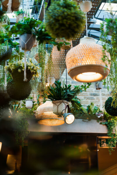 Albyn Venue Collection 37