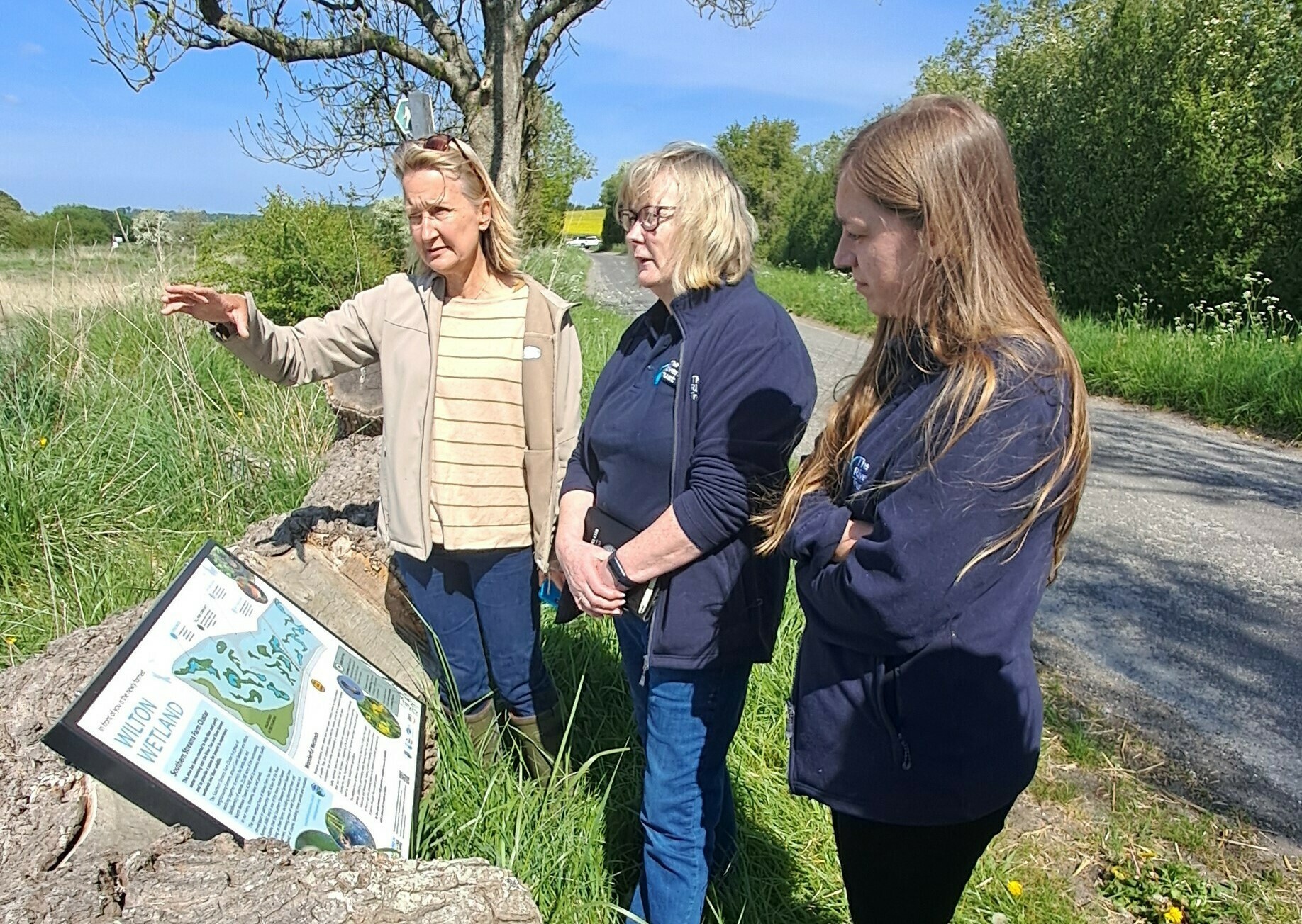 people looking at a wetland