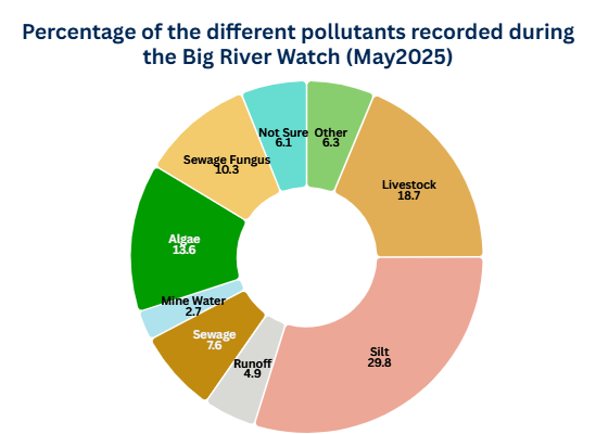 Pie chart of pollution spotted