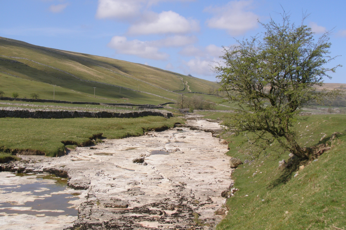 A dry river with very little water running through a green landscape with a single tree on the right riverbank