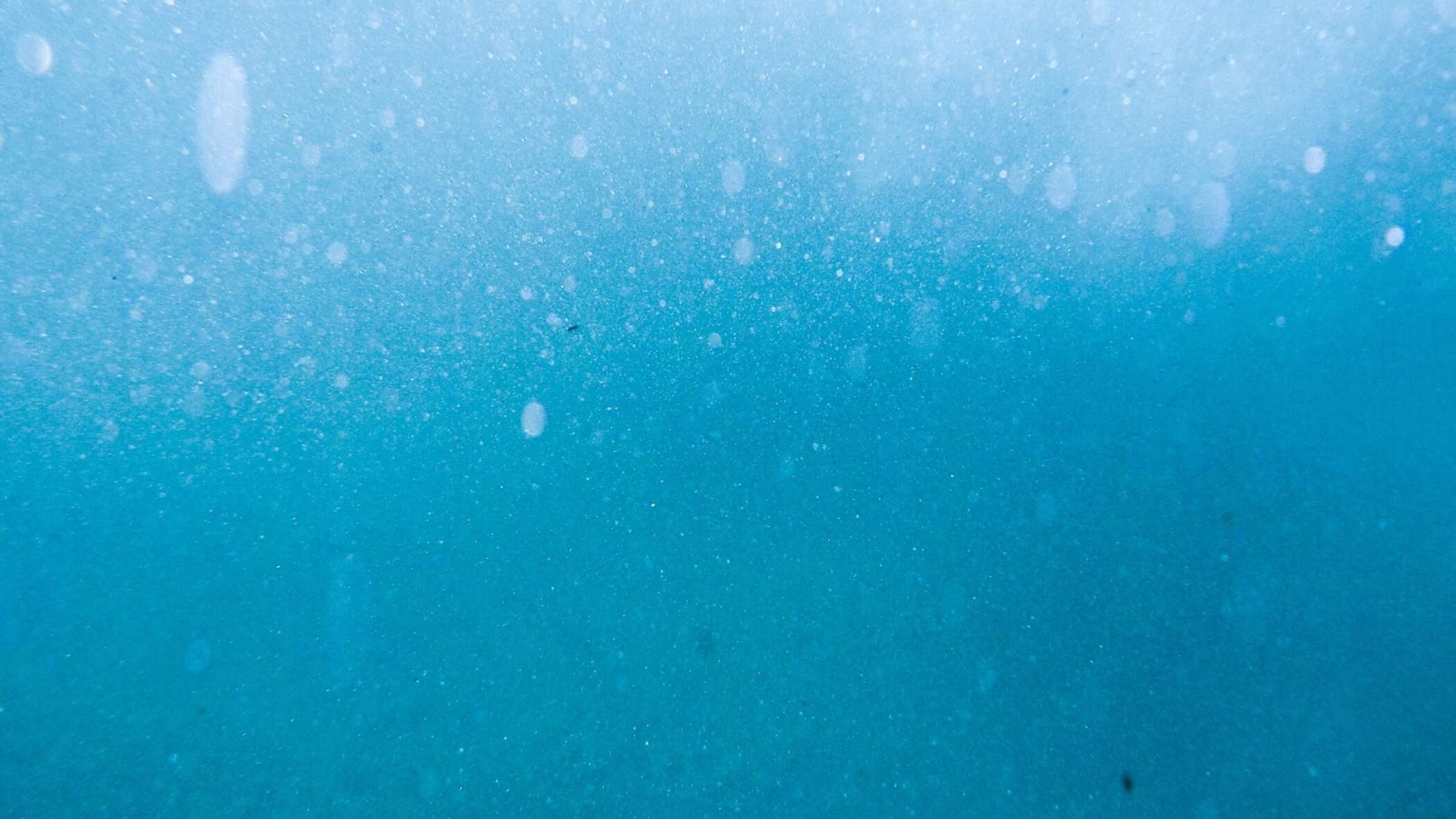 Underwater image