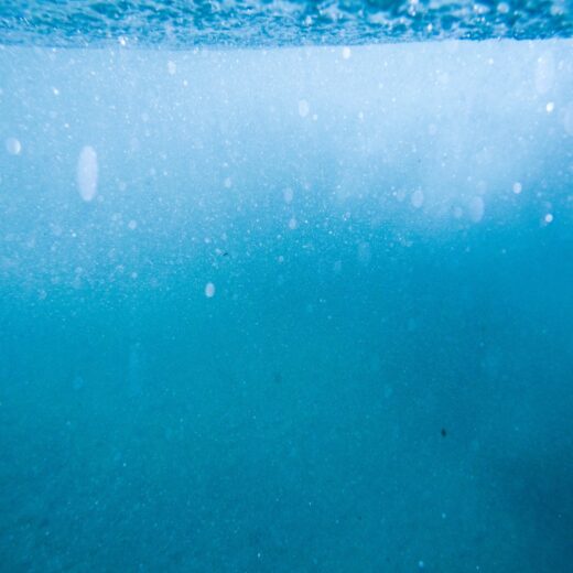 Underwater image