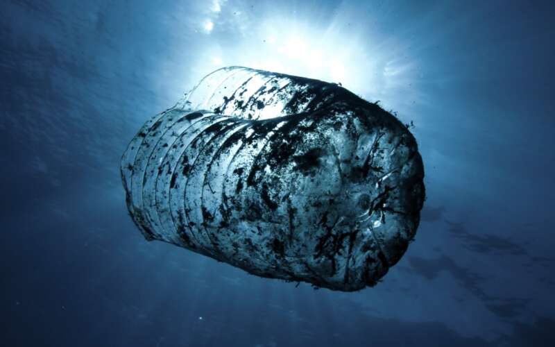 A plastic water bottle underwater