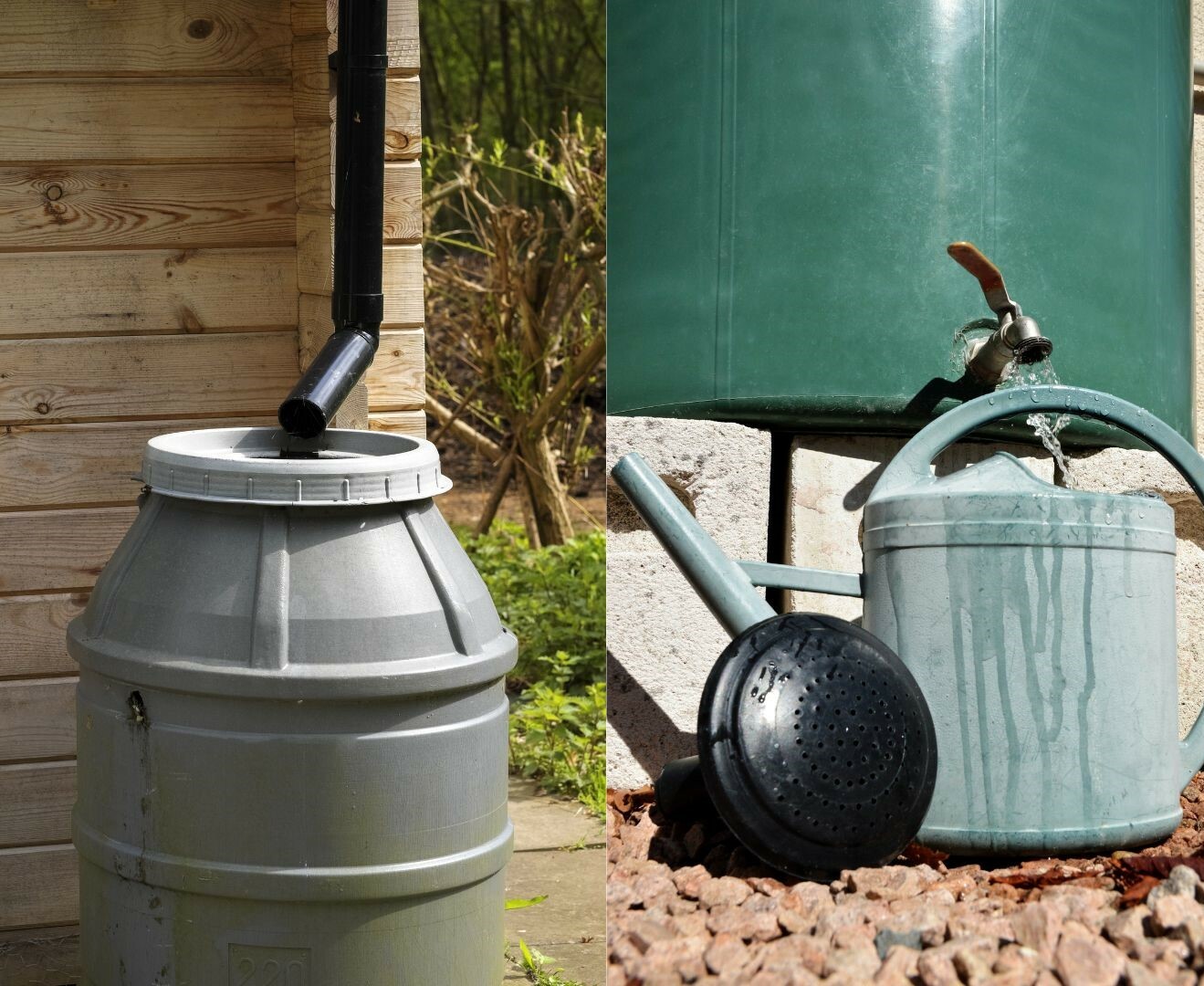 tubs connected to roof guttering collect rainwater