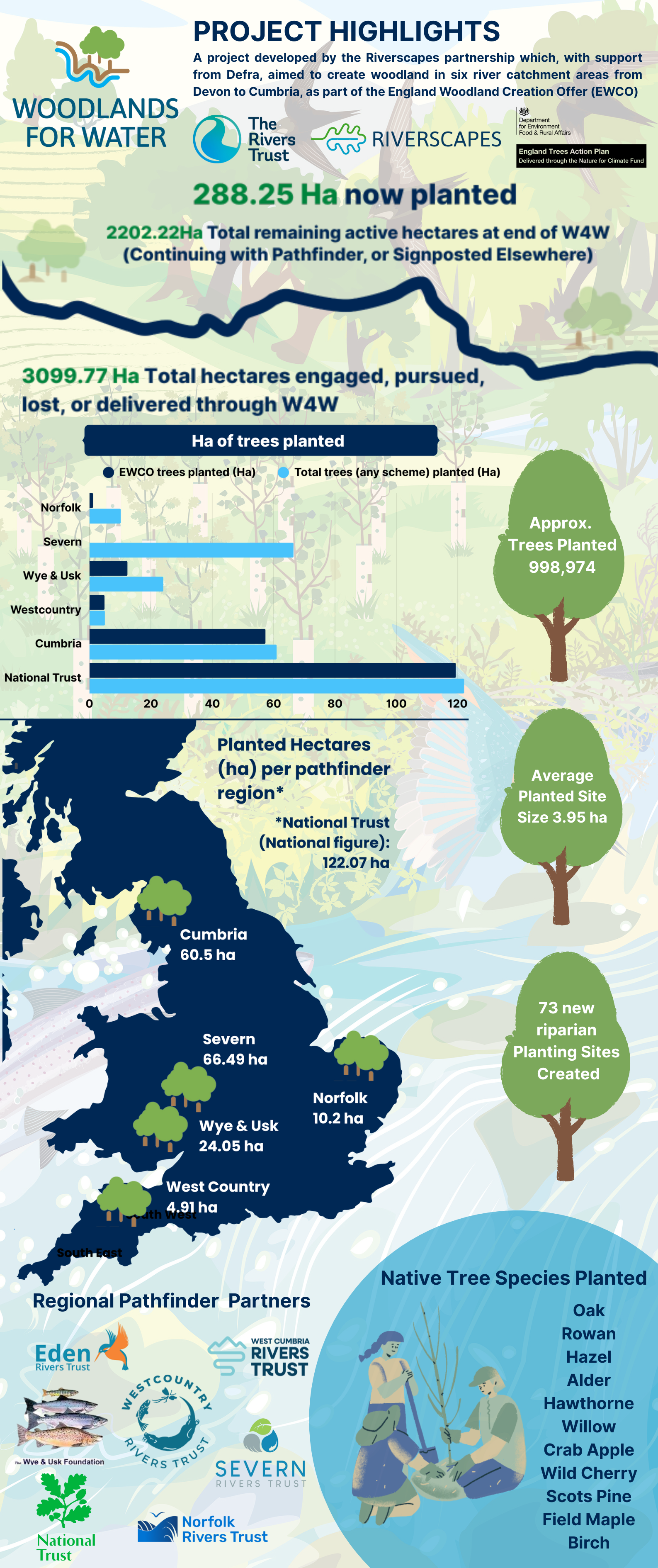 a summary infographic containing statistics from the project
