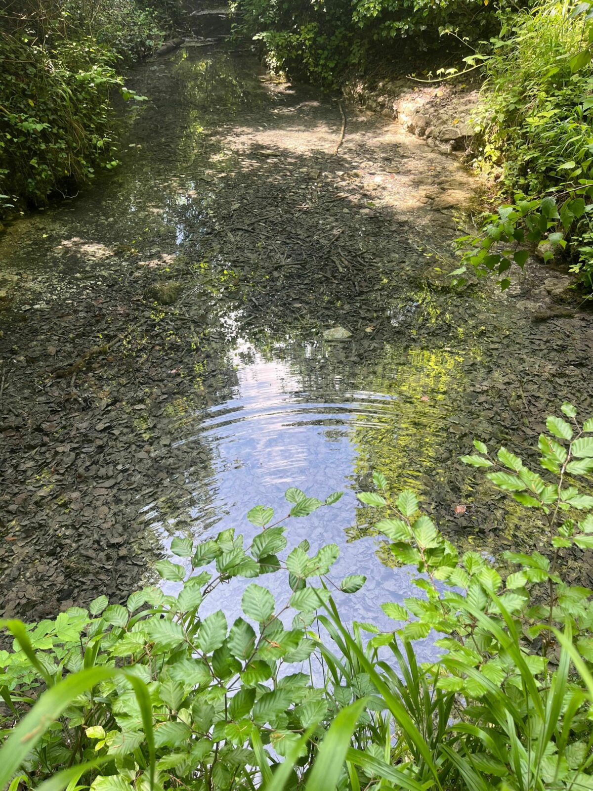 river
