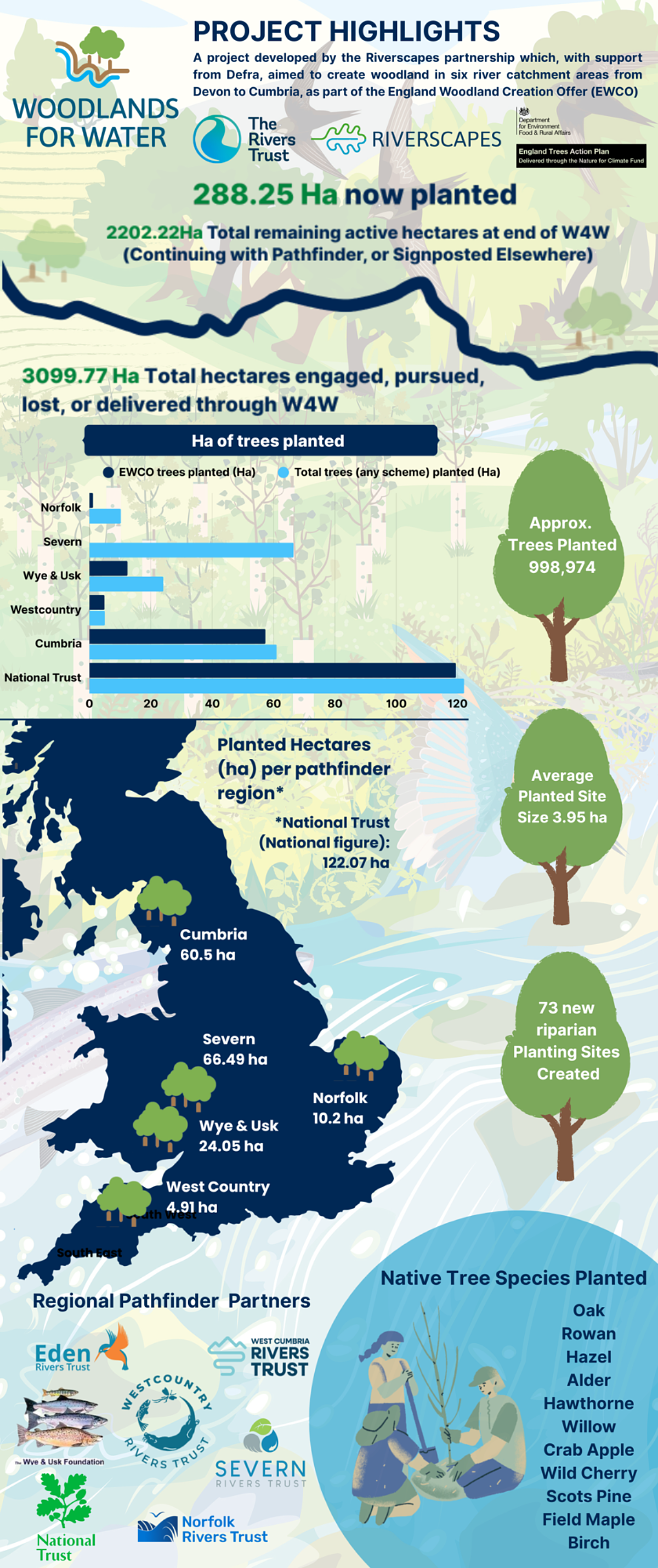 a summary infographic containing statistics from the project