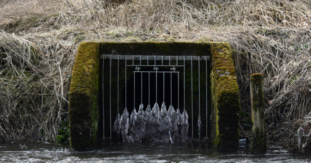 theriverstrust.org