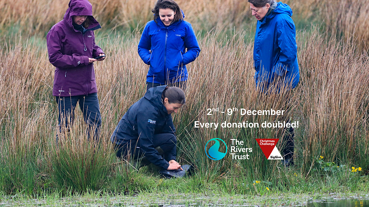 Four women on a river bank one crouched down by the water holding a laptop