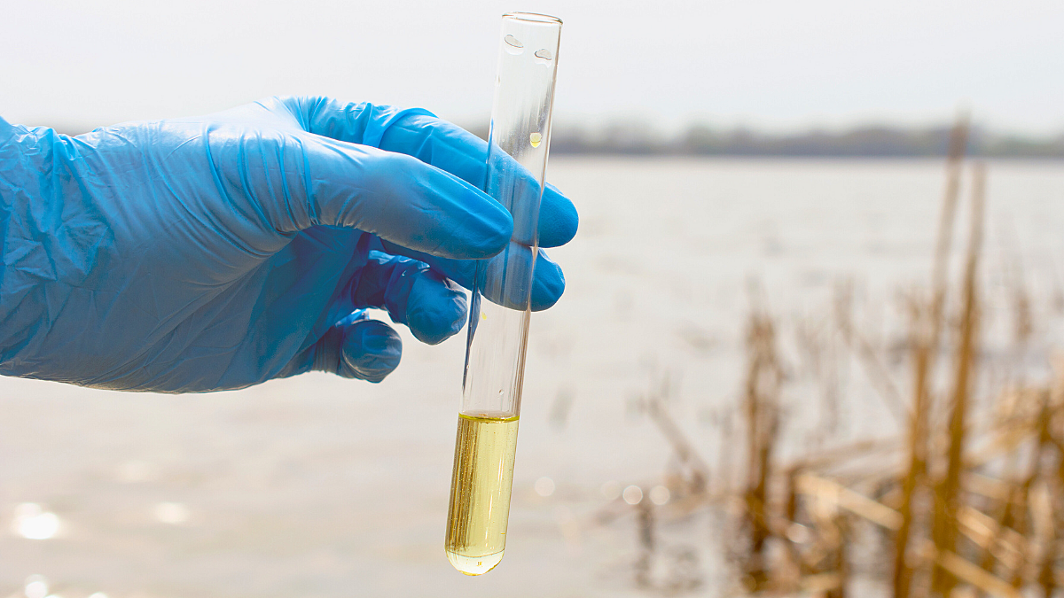 Hand in blue glove holding test tube with river in background
