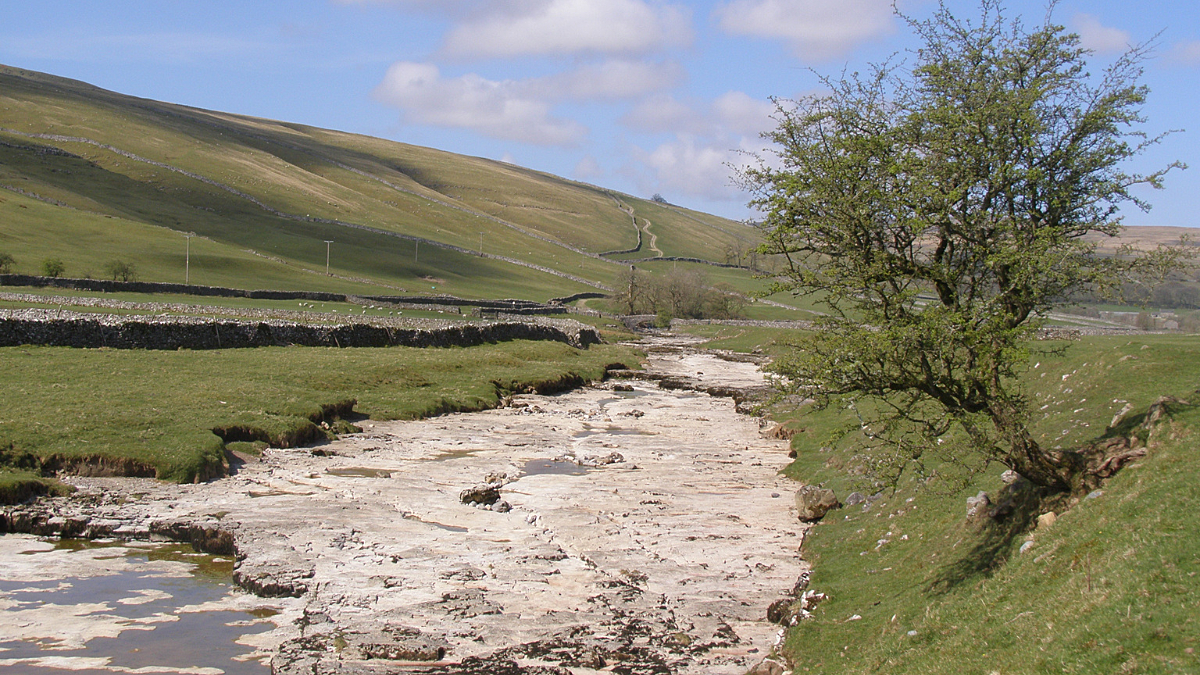 A dry river with very little water running through a green landscape with a single tree on the right riverbank