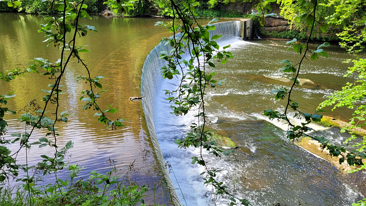 A large weir stretches across a green river
