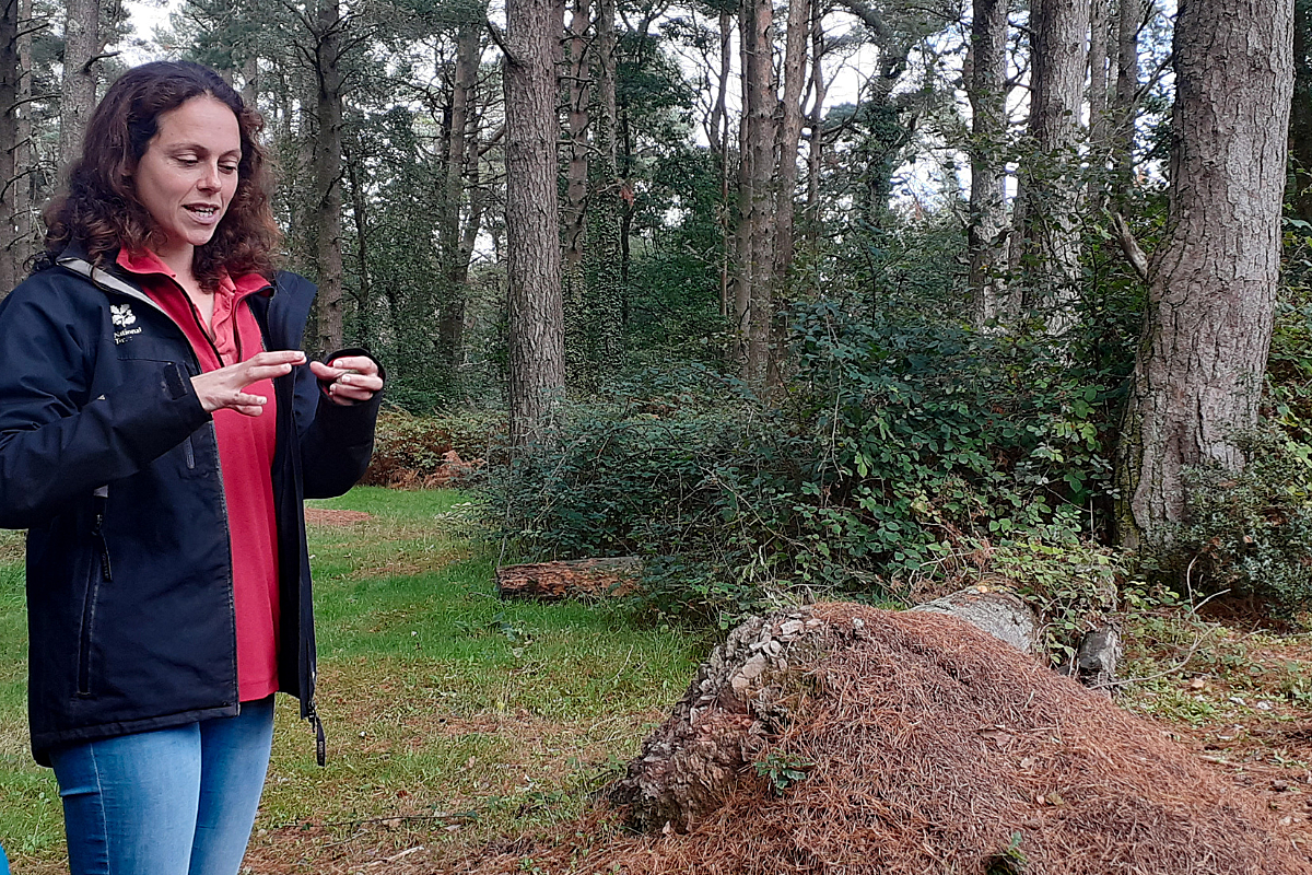 Woman in blue jeans, red shirt, and navy rain coat stood in forest