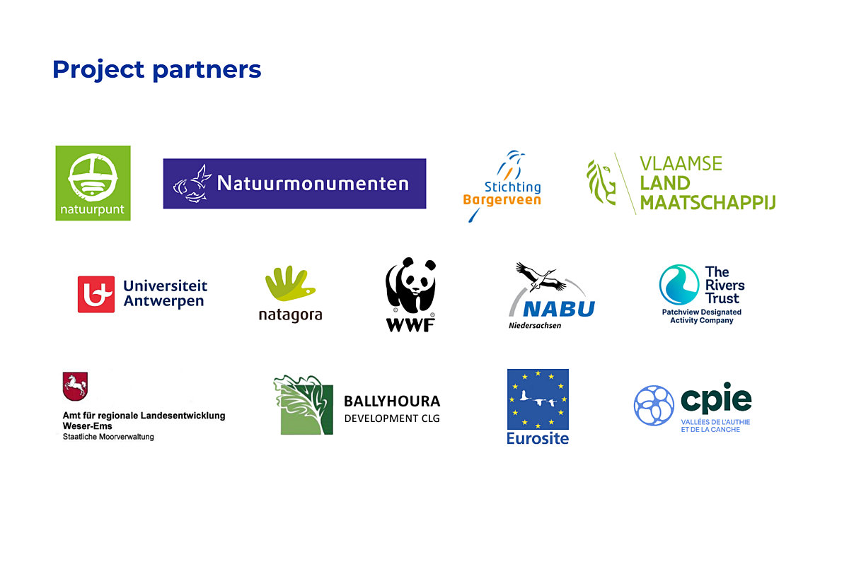 Collection of logos from different supporting organisations