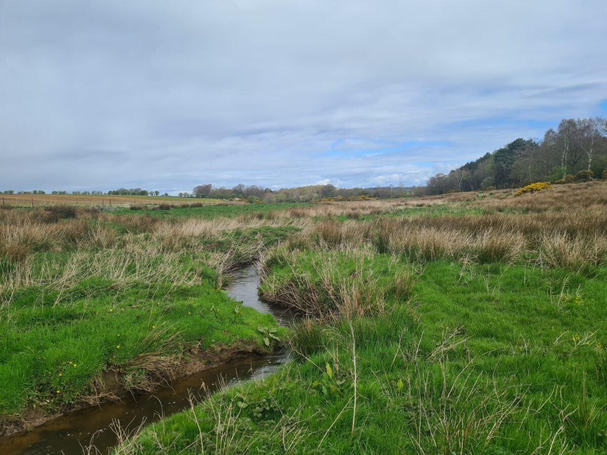 A thin river winds through low green grassland