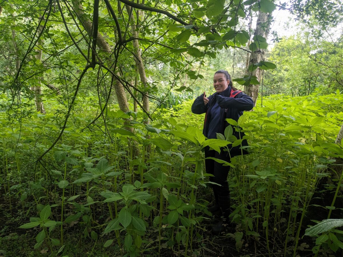 woman stood in woodland with plants up to waist height
