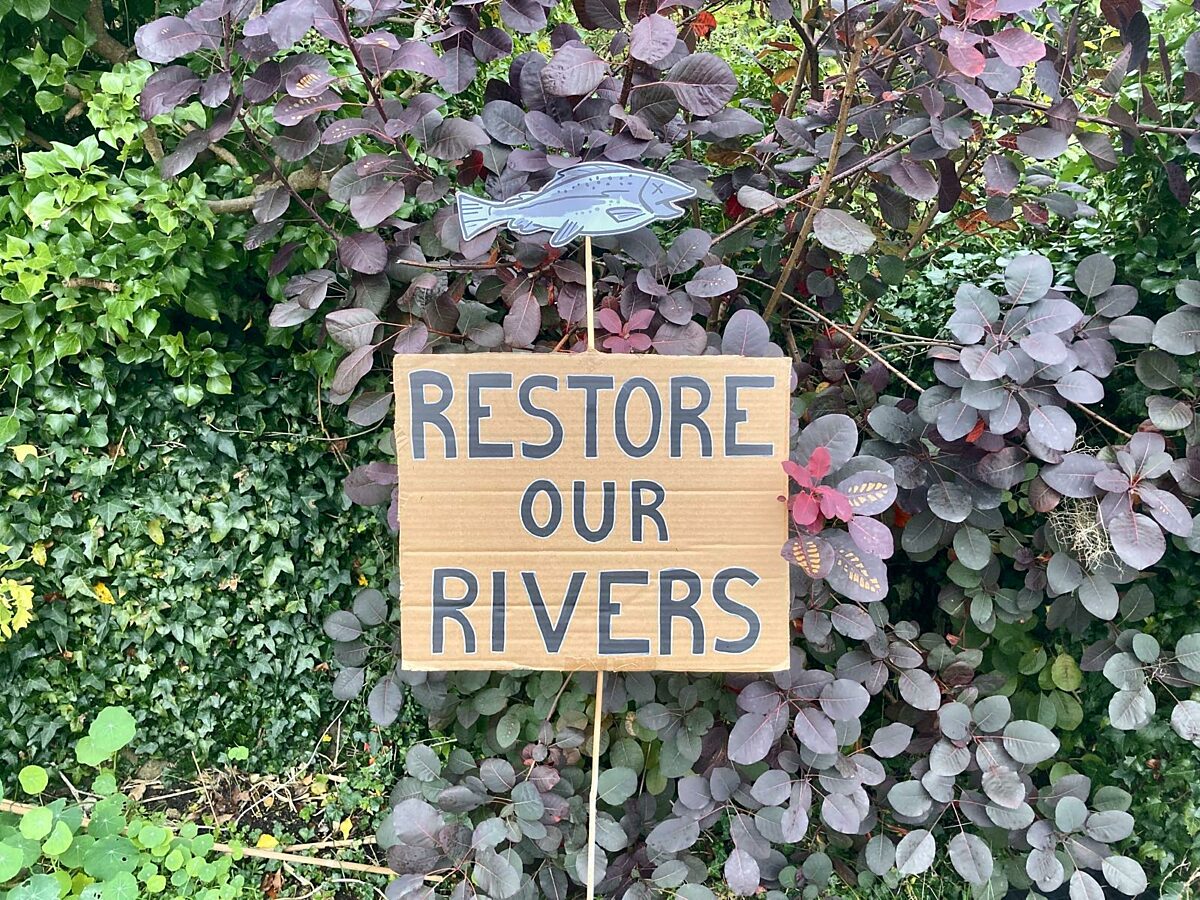 A cardboard fish is shown positioned above a cardboard protest sign that reads 'Restore our rivers'