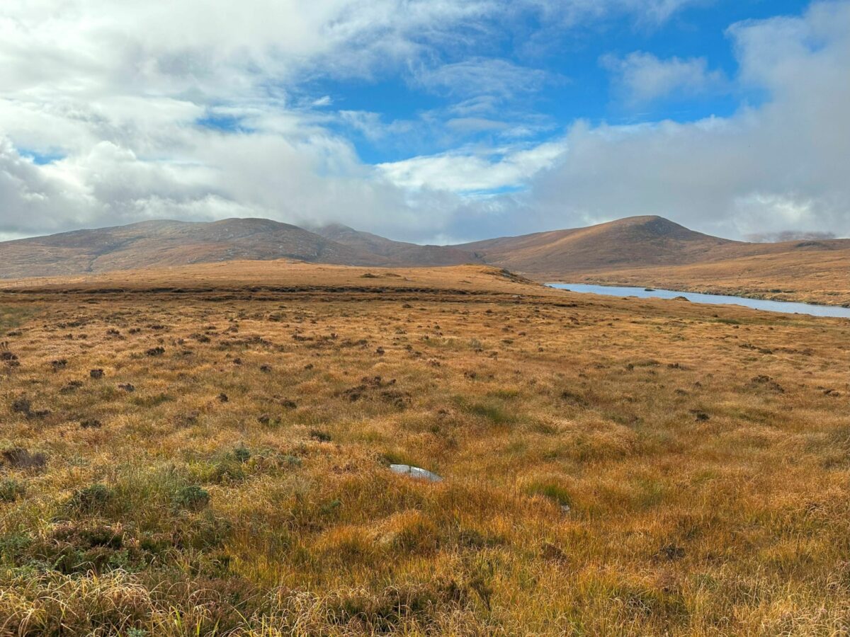 A landscape image of a sweeping area of peatland