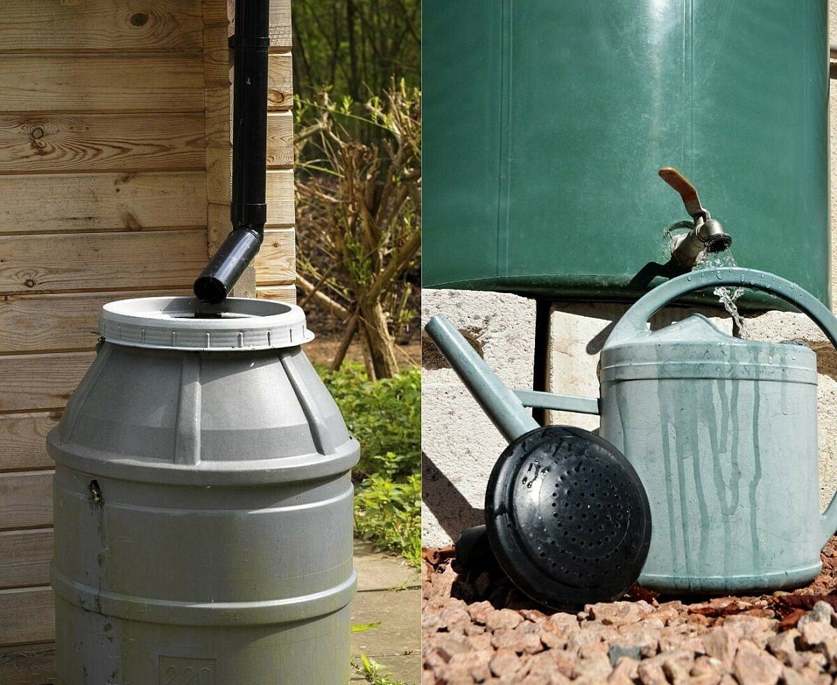 tubs connected to roof guttering collect rainwater