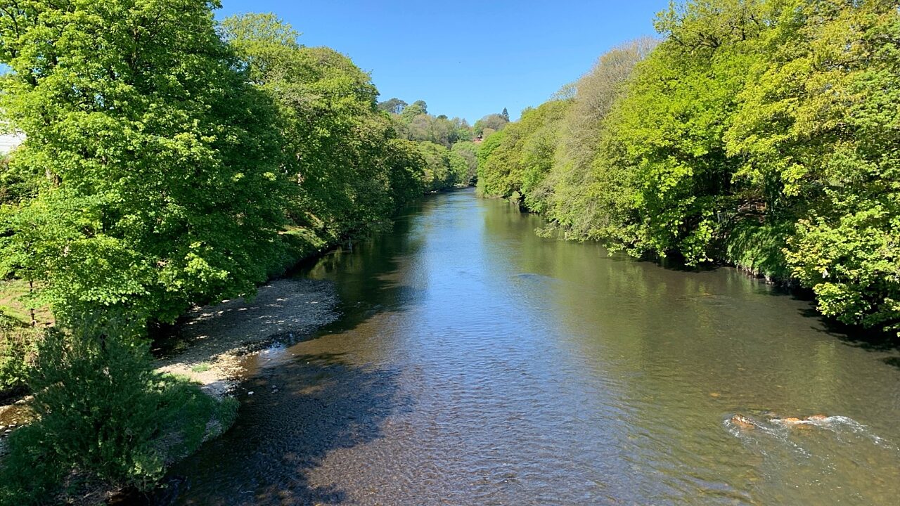 a wide river with green trees on either bank and blue skies