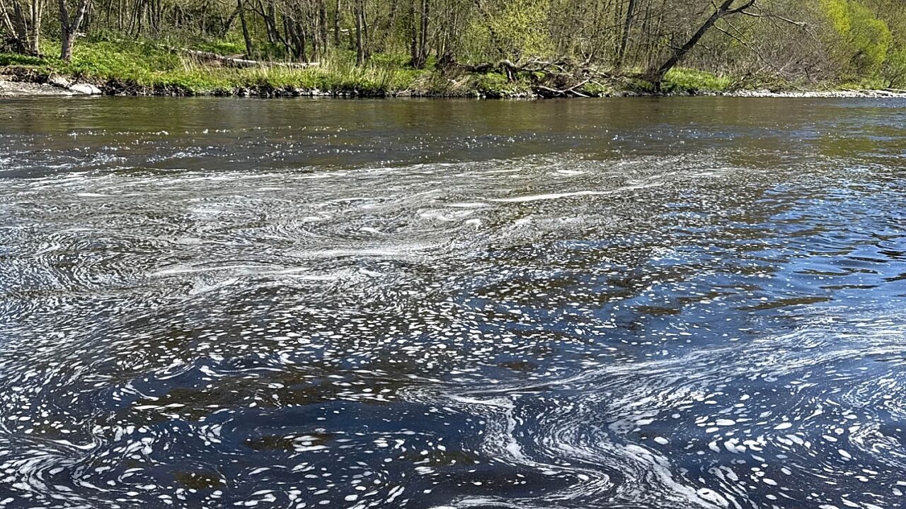 a white foam scum spreads over the surface of a river