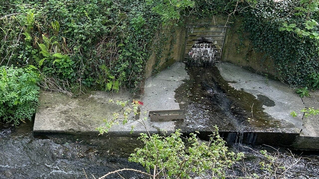 sewage flows out of a pipe with a grate covered in wet wipes