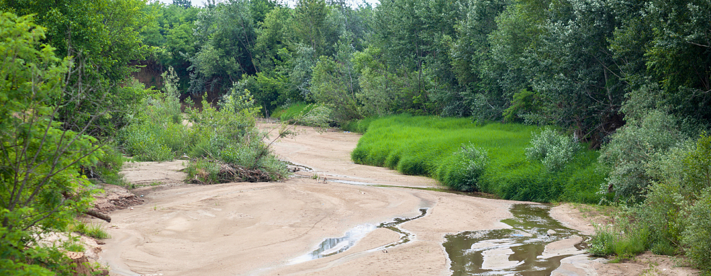 a dried out riverbed