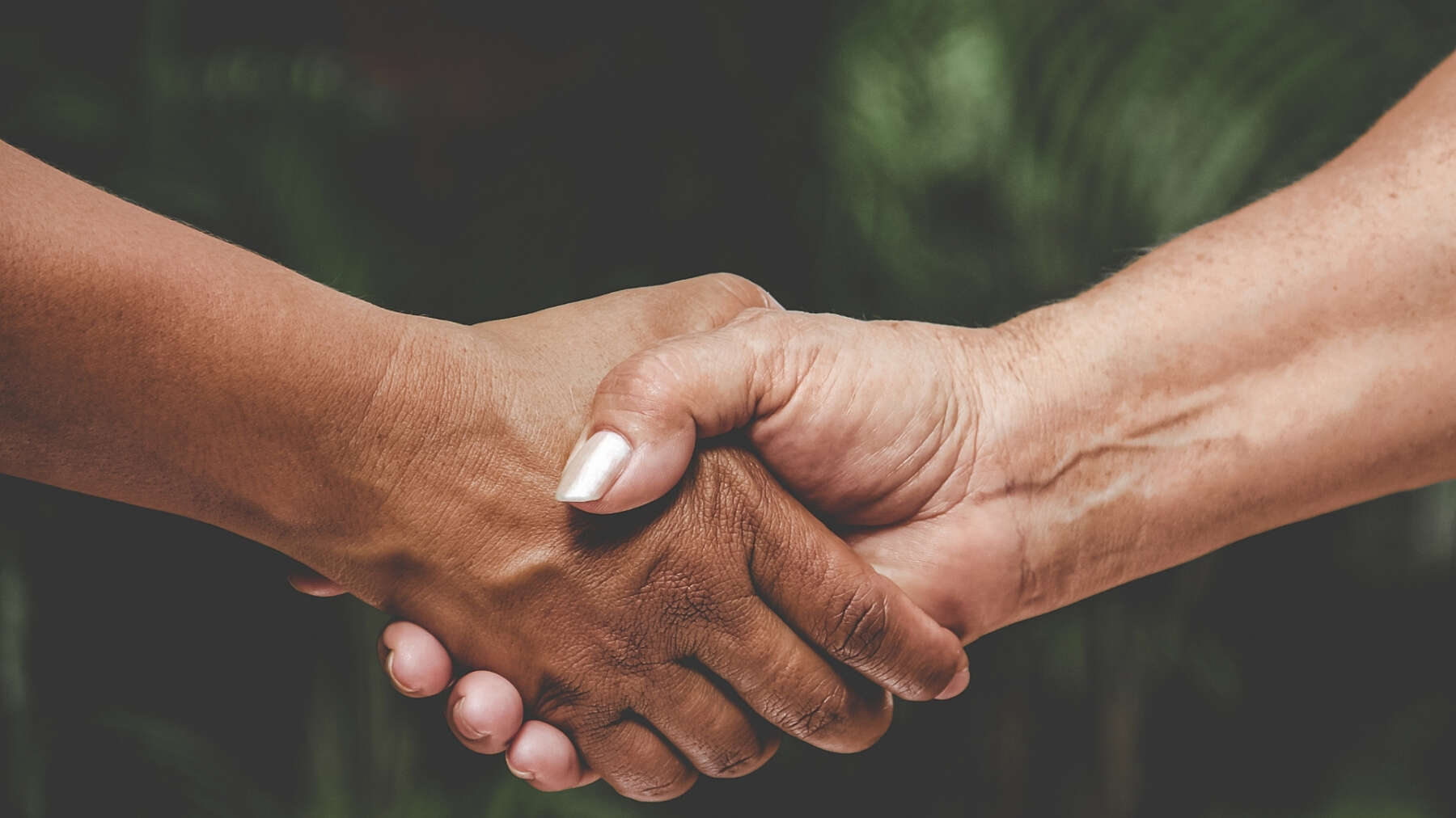A handshake