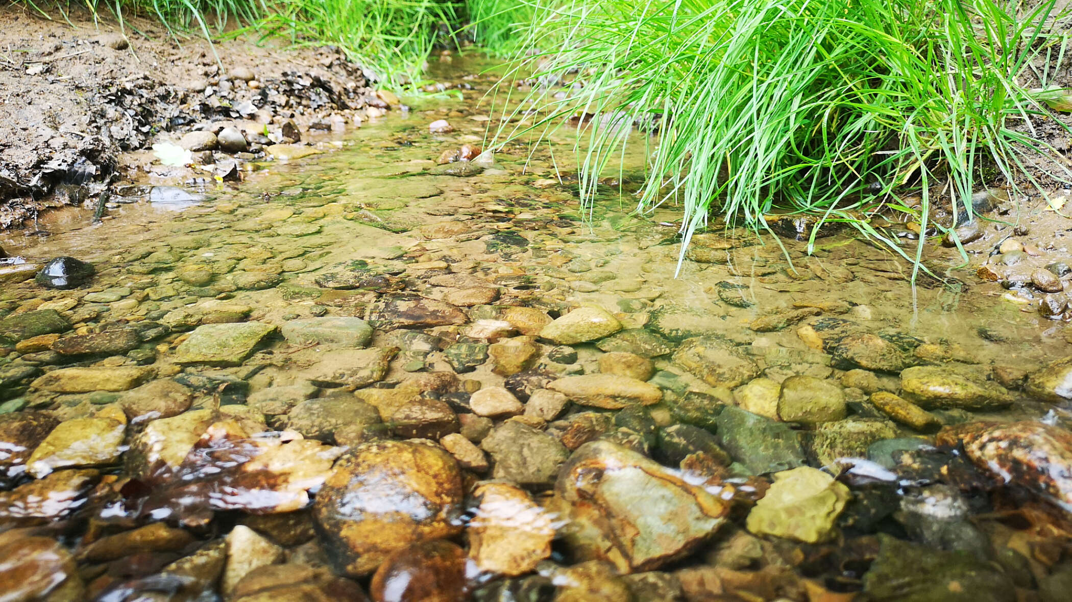 Close up of stream