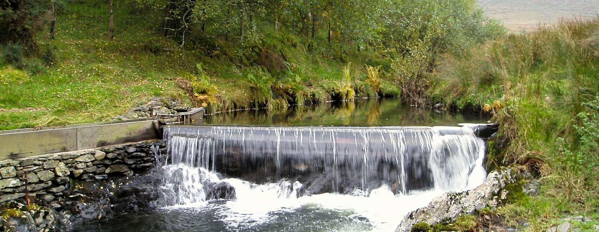 Water falls over a tall weir stretching across a river