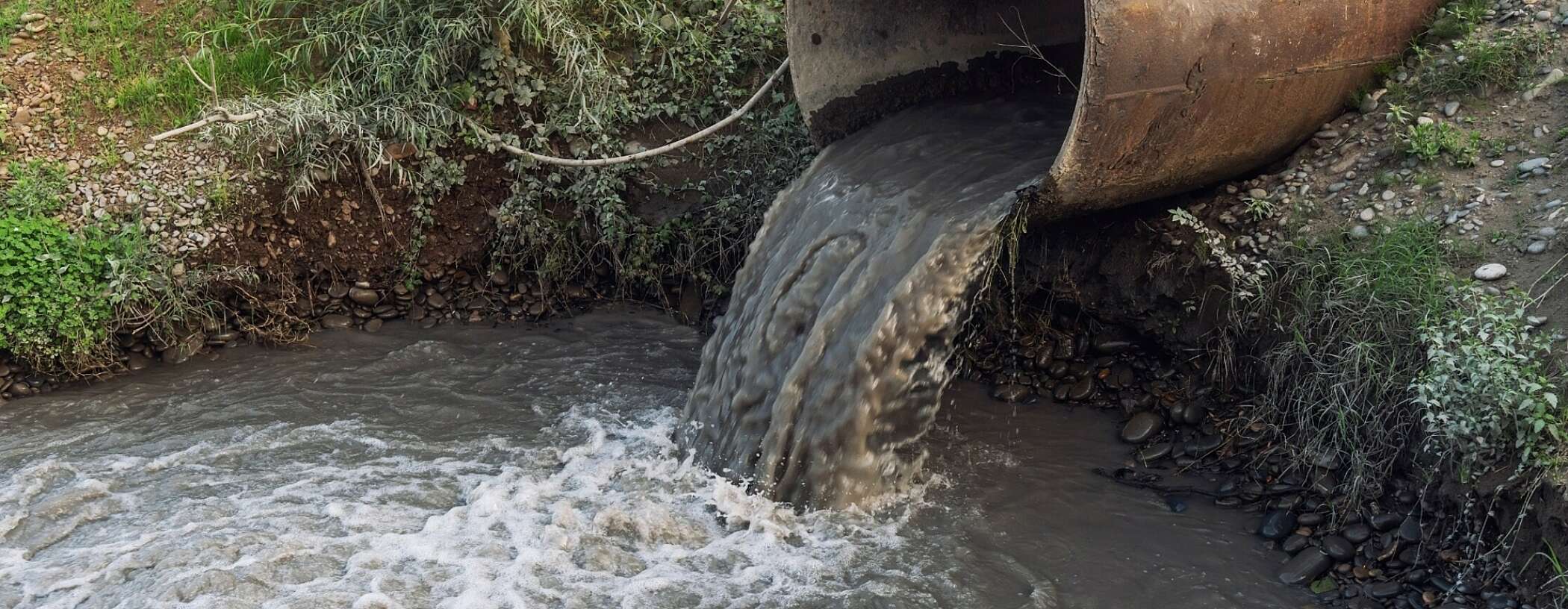 Disgusting brown water pours out of a meal pipe into a river
