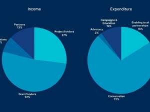 Two pie charts showing income and expenditure