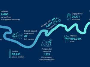 A graphic depicting a river outline and key stats dotted across it
