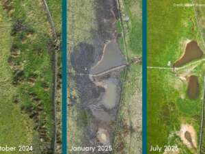 Three images next to each other each showing the same ariel view of a piece of land from October 2024, Janurary 2025, and July 2025 showing the creation of the ponds