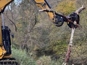 Yellow digger holding a branch next to a river