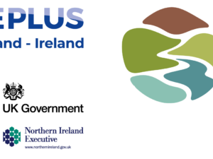 Logo banner showing PSW and PeacePlus organisation logos